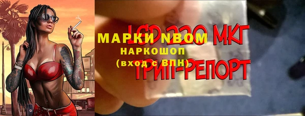 прущий лед Инсар