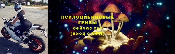 не бодяженный Иннополис