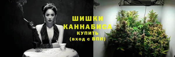 прущий лед Инсар