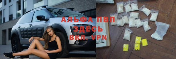 не бодяженный Иннополис