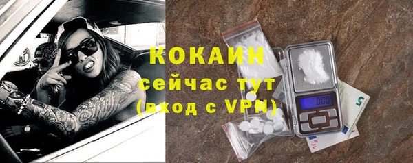прущий лед Инсар