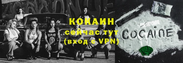 прущий лед Инсар