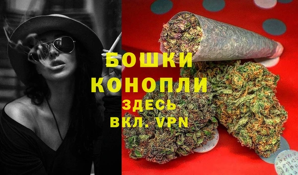 не бодяженный Иннополис